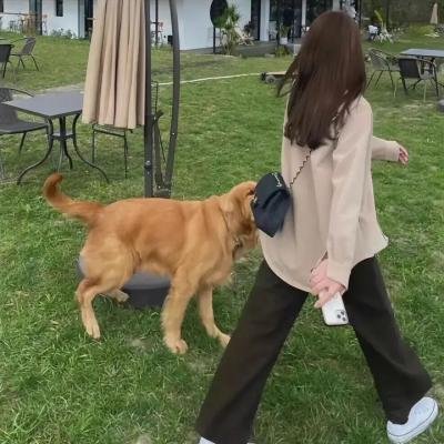 狼殿下